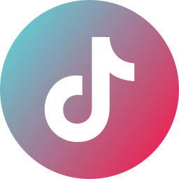 TikTok Video Downloader